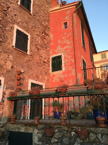 tellaro-pink-cottage-and-cactus