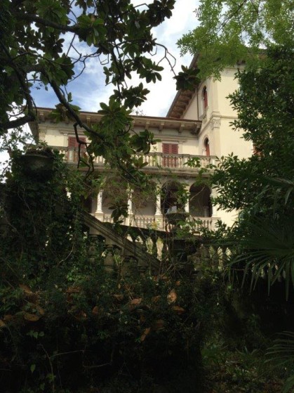 villa magnolia through the trees