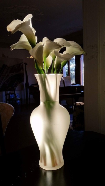 my favorite flowers in my favorite vase