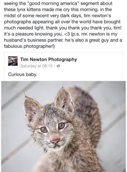 tim's lynx story